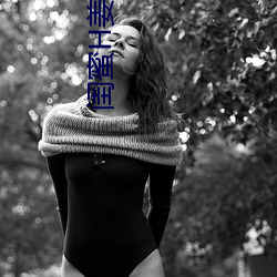 閨蜜H姜娆全文
