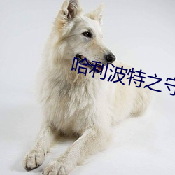 哈(hā)利(lì)波(bō)特(tè)之(zhī)守护