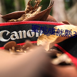 蜜桃成就熟3