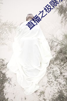 直播之極限求生小說目錄