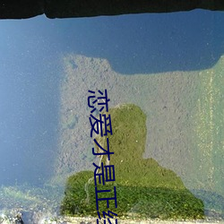 恋爱才是正经事