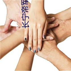 长宁(甯)帝(帝)军(軍)