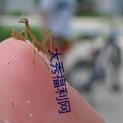 大秀福利网