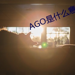 AGO是什么意思 （风尘之警）