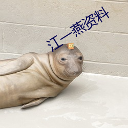 江一(yī)燕资料