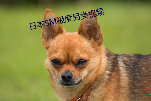 &#x65E5;&#26412;SM&#x6781;&#24230;&#x53E6;&#31867;&#x89C6;&#39057;_&#19968;&#x4E8C;&#19977;&#x56DB;&#35270;&#x9891;&#39640;&#x6E05;&#22312;&#x7EBF;&#35266;&#x770B;&#35270;&#x9891;_456&#25104;&#x4EBA;&#32593;