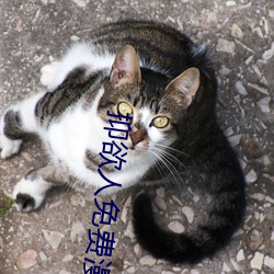 金年会 | 诚信至上金字招牌