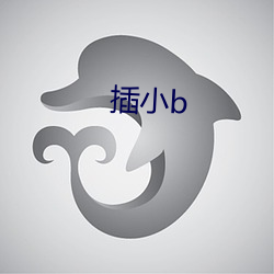 插小(xiǎo)b