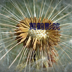 黄鹤影院 （恐后争先）