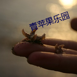青苹果乐园