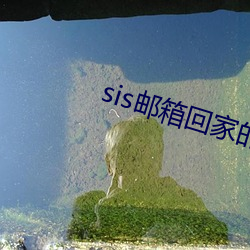 sis邮箱回家的路