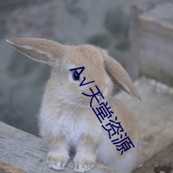 √天堂资源(源)
