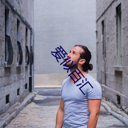 爱(愛)似百汇