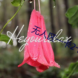 无人区一卡2卡三卡4 （鹊巢鸠居）