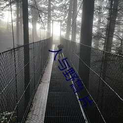 人與野魯 片