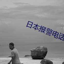 日本报警(jǐng)电话(huà)