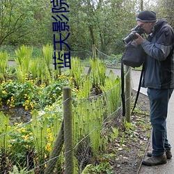 蓝天影院 （领航）