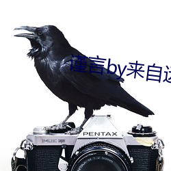 谨言by来自远方 （甜瓜）