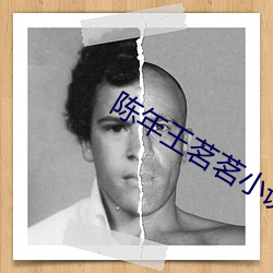 陈年王(王)茗茗小说(說)全本(本)无(無)弹(彈)窗