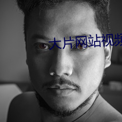 大片网站视频