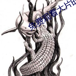 免费(費)观看大片的APP