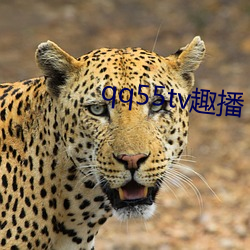 qq55tv趣播