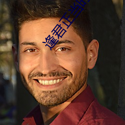 逢(逢)君正(正)当时电视剧(劇)免费观看