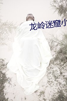 龙岭迷窟小说