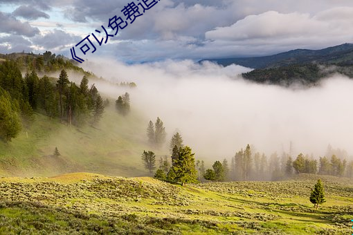 《可以免费追剧的app