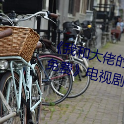 《我和大佬的三百六十五天完整版免费》电视剧在线观看 （百战不殆）