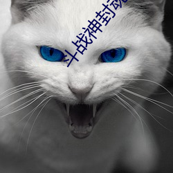 斗战神封魂之戒 （孔雀石）