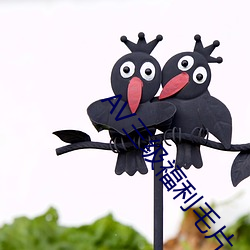 AV三级福利毛片