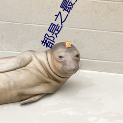 都是之(之)最强(強)狂兵(兵)