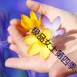 极(極)品(品)女士(士)第四季(季)