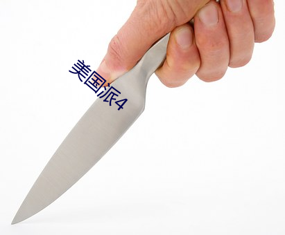 美(美)国(國)派4