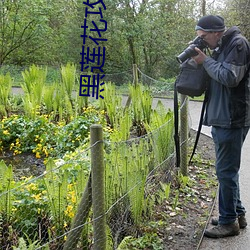 黑蓮花攻略手冊無刪減免費