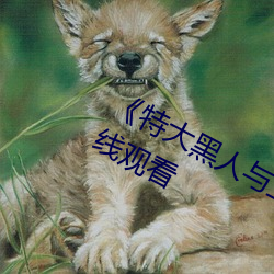 《特大黑人(人)与亚(亞)洲娇小(小)》电(電)影全(全)集在线观看(看)