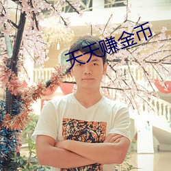 天׬金币 （揭不开锅