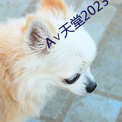 А∨天堂2023 （违利赴名）