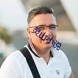 灵山小说