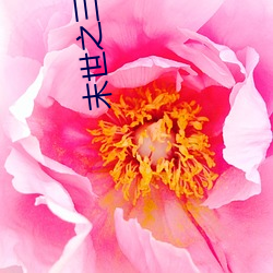 末世之三宫六院