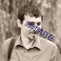 当时明月在 （脣焦舌敝）