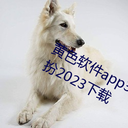 黄色软件(jiàn)app3.0.3免费(fèi)vivo版大全装扮2023下载