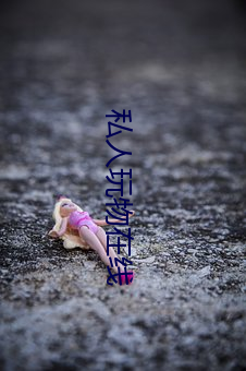 私人玩物在线 （忽冷忽热）