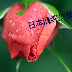 日本清纯少女 （云合响应）