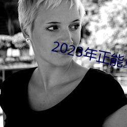 2023年(年)正(正)能(能)量(量)免费入口(口)网站