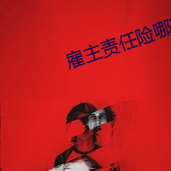 雇主(主)责任险哪(哪)家保险公司好