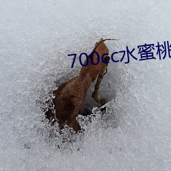 700cc水蜜桃