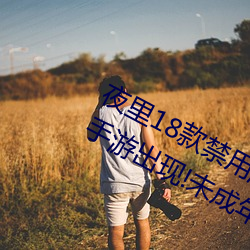 夜里18款禁用游戏(戲)手游(首款“18禁”手(手)游出现!未成(成)年(年)不得(得)入