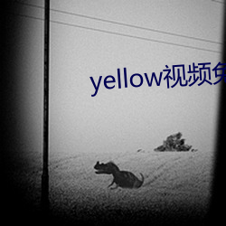 yellow视频免费在线观看